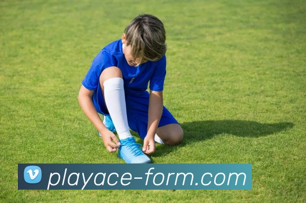 PA电子官网平台生态图